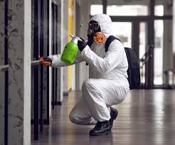 Why You Should Choose Our Mold Remediation Services in Moody Af, GA